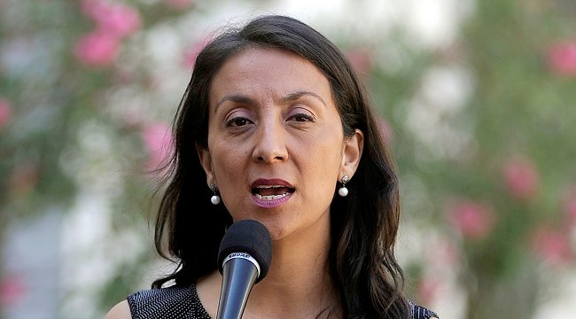 Vocera: El ministro Ribera renunció para no perjudicar a su Gobierno y su Presidente