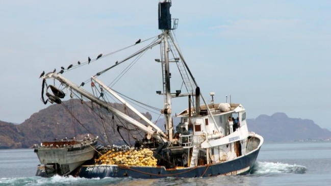 Ecuador apresó cinco barcos de pesca peruanos en sus aguas