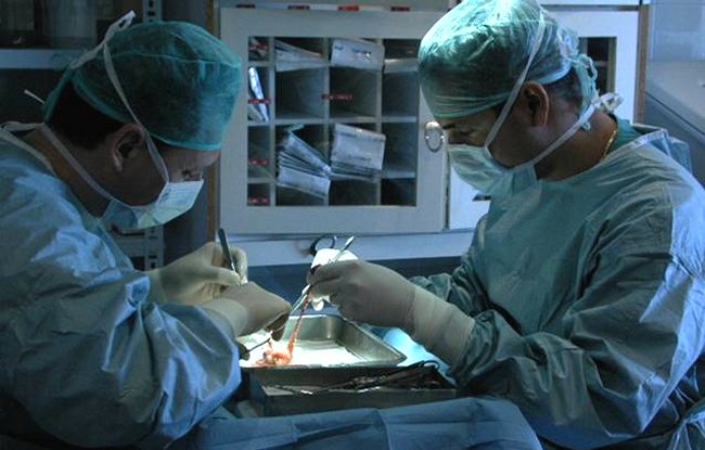 Minsal: Todavía la mitad de las familias rechaza donar órganos de sus deudos