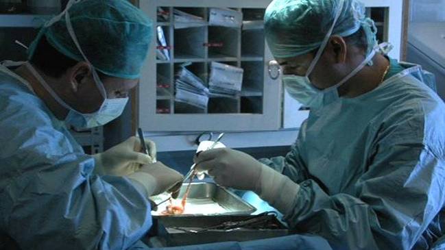 Minsal: Todavía la mitad de las familias rechaza donar órganos de sus deudos