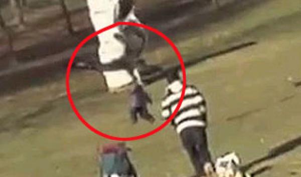  Autores del video del águila y el niño explicaron su falsedad  