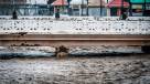 Intendente de Magallanes y lluvias: \