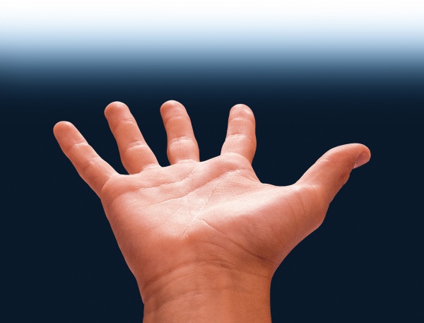 La mano humana evolucionó para incrementar la aptitud para la lucha