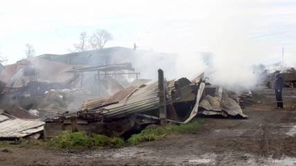 Ataque a fundo terminó con un cuidador muerto en Cañete