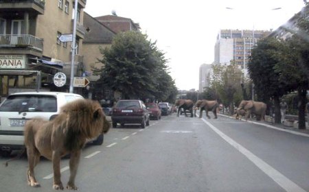 Imagen foto_00000018