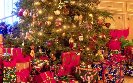 Imagen foto_00000026