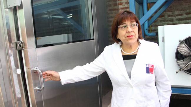 Seremi de Salud prohíbe funcionamiento de carnicería por presencia de baratas