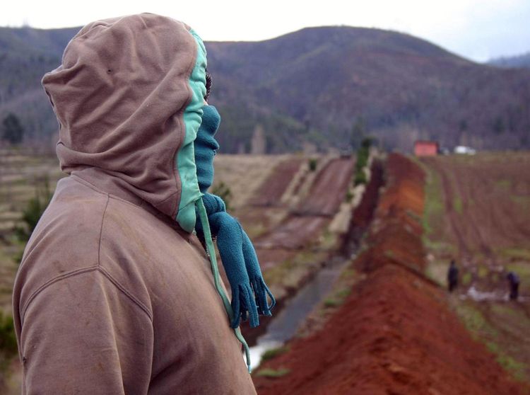 Senador Tuma calificó de imprudentes declaraciones de Chadwick en La Araucanía