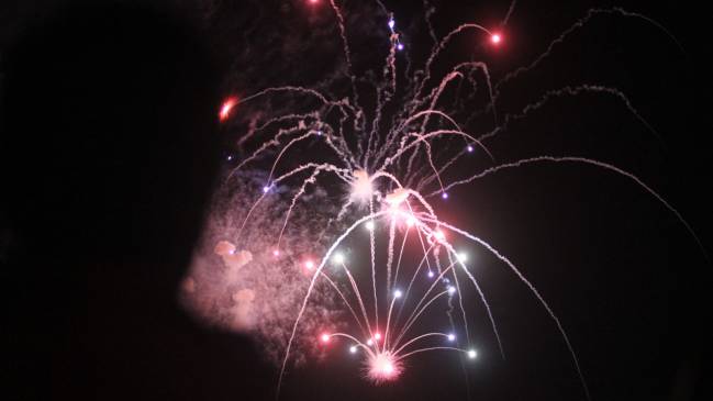 Diputado Araya presentó proyecto para sancionar comercialización de fuegos artificiales