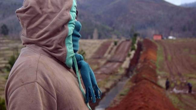 Senador Tuma calificó de imprudentes declaraciones de Chadwick en La Araucanía