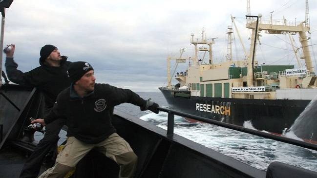 Japón inicia una nueva temporada de caza de ballenas