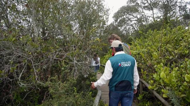 Incendio destruyó dos cabañas al interior del Parque Nacional Fray Jorge