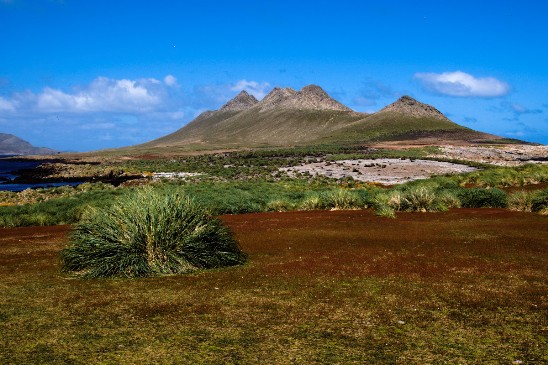 Diario británico apoya la soberanía británica de Malvinas en un anuncio en Argentina