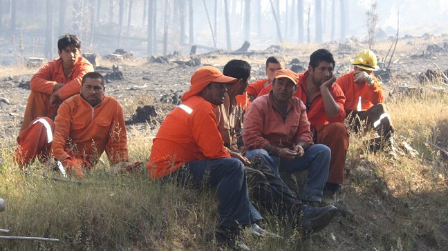 Conaf a un año de Carahue: La gente entendió que es fácil evitar los incendios