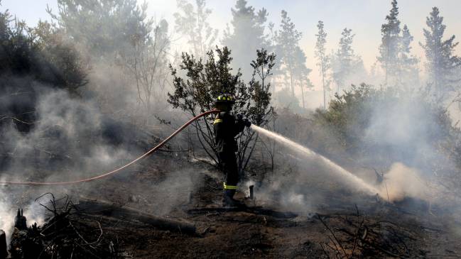 Onemi decretó alerta roja por incendio en Viña del Mar