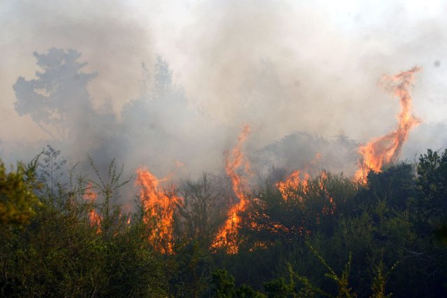 Se mantiene la alerta roja en Viña del Mar y Casablanca por incendios forestales