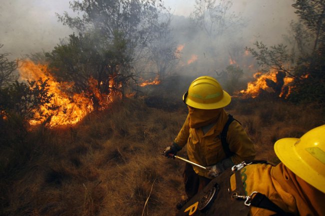 Con un centenar de hectáreas quemadas terminó el incendio en el Jardín Botánico