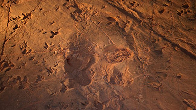 Famosas huellas de dinosaurios en Australia podrían no ser de una estampida