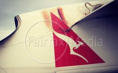 Serpiente viajó en el ala de un avión sorprendiendo a los pasajeros