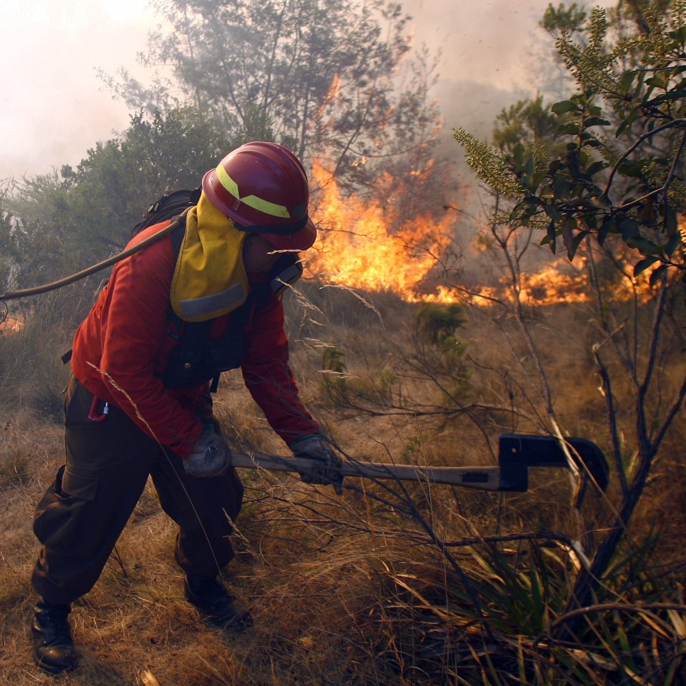 Dos personas fueron formalizadas por incendio forestal en El Maule