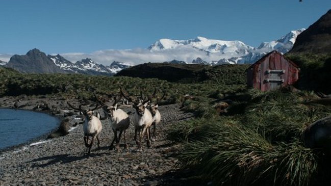 Londres revisa plan de defensa de las Malvinas ante el próximo referéndum