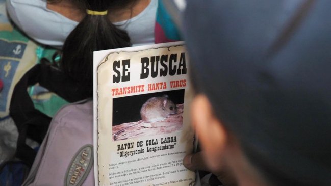 Minsal entregó recomendaciones para prevenir el virus Hanta en verano