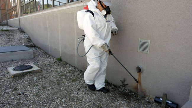 Seremi de Salud confirmó primer caso de virus Hanta en el Biobío