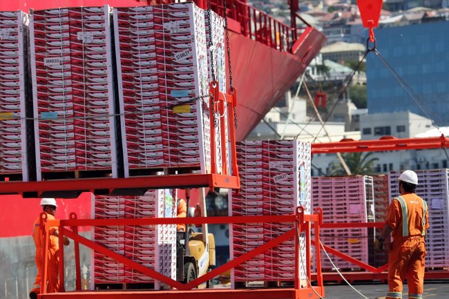 No medir la huella de carbono puede afectar las exportaciones