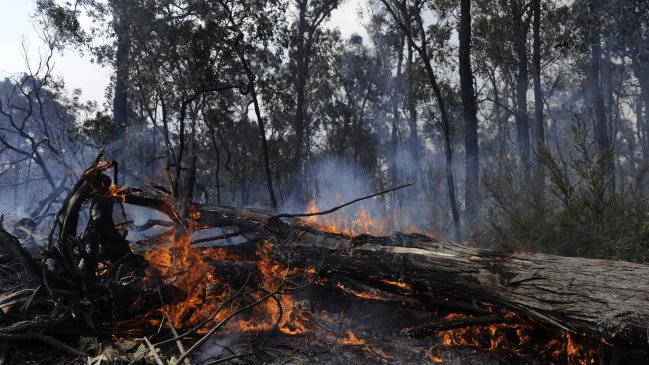 Ciudad de Sidney registró la temperatura más alta de su historia