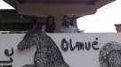 Alcaldesa de Olmué: \