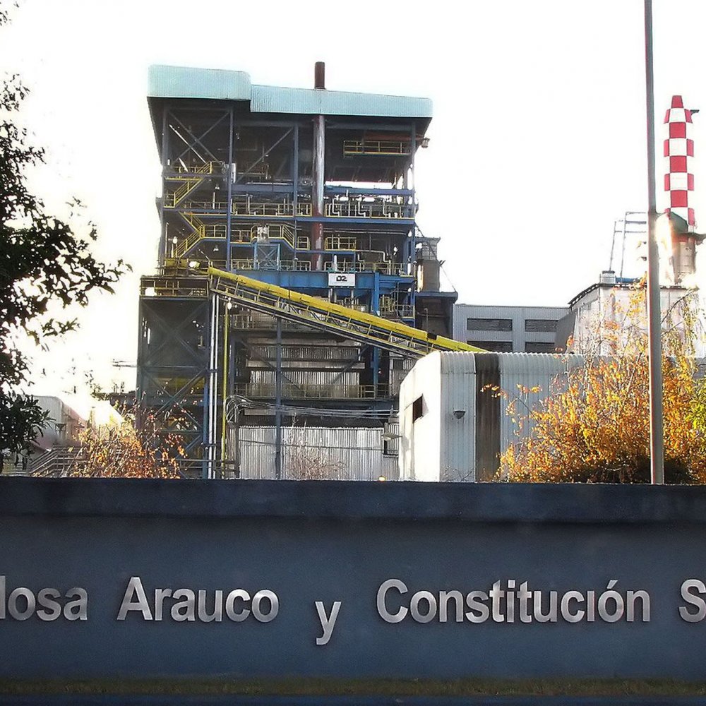 Celco deberá pagar multa de 32 millones por infracciones de planta en Valdivia