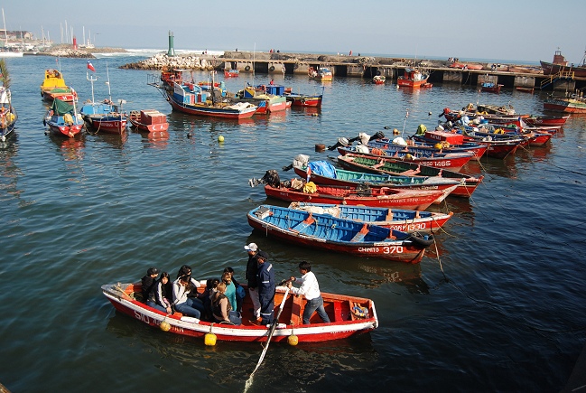 Tribunal Constitucional desestimó anular polémica Ley de Pesca