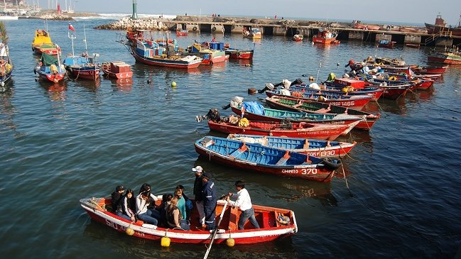 Tribunal Constitucional desestimó anular polémica Ley de Pesca