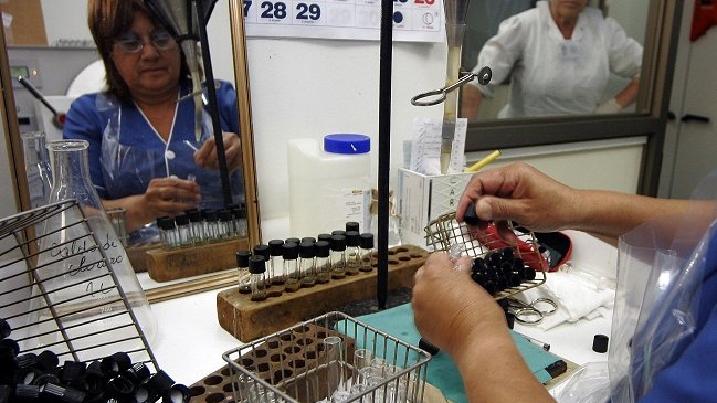 Autoridades confirmaron nuevo deceso por Hanta en Región del Biobío