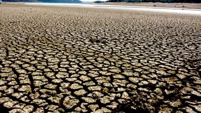 Sequía: Cinco comunas más fueron declaradas como zona de catástrofe en Coquimbo