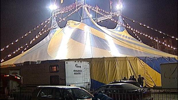 Fue dada de alta una trapecista que se accidentó en un circo de Viña del Mar