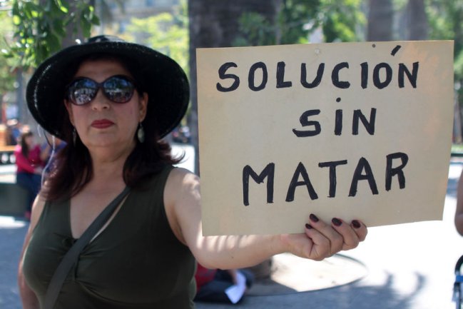 Preocupación causa decreto que permitiría caza de perros salvajes y guanacos