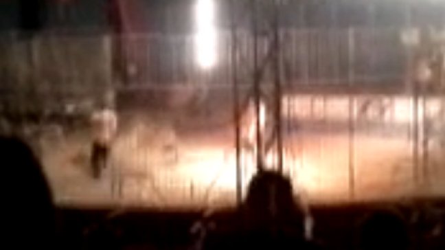 Tigre atacó a su domador en plena función de circo ocasionándole su muerte