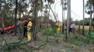 Forense inició identificación de los restos de Lino Oviedo tras accidente aéreo