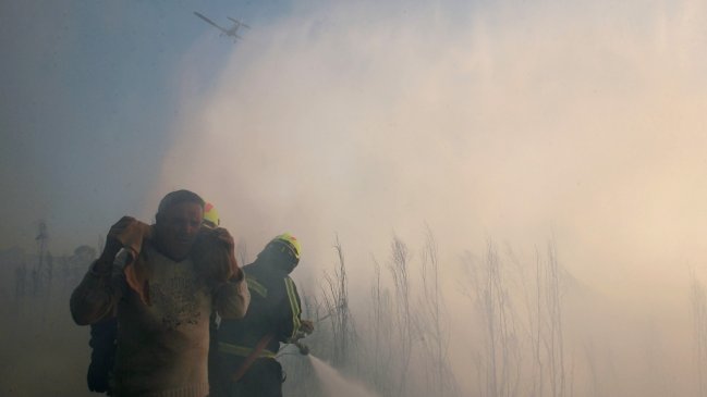 Gobierno y Conaf presentaron querella por incendio forestal en Quintero