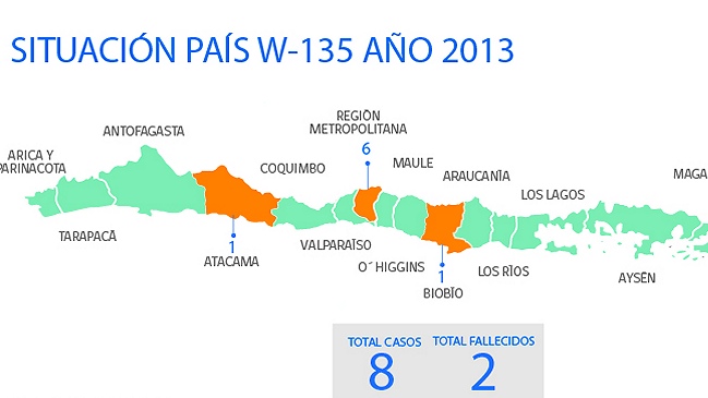Minsal confirmó segunda víctima fatal por meningitis W135 en 2013