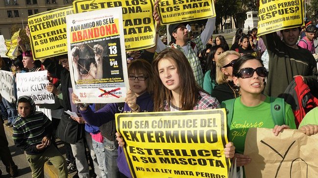 Párroco de Valparaíso interpuso recurso judicial contra animalistas