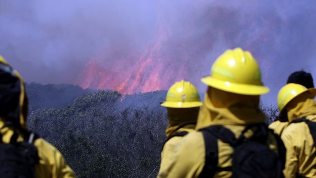 Onemi levantó Alerta Amarilla por incendio forestal en Sagrada Familia