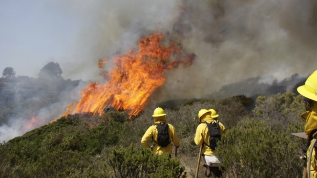 Onemi: Incendios forestales en Litueche 