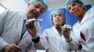 Supervisan análisis de las vacunas contra influenza