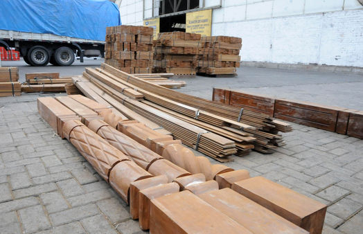 Interpol detuvo a 194 personas en Latinoamérica por tráfico ilegal de madera