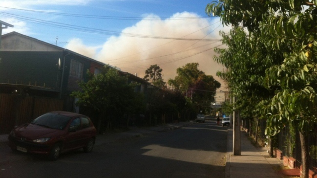 Incendio forestal se desató en Peñaflor