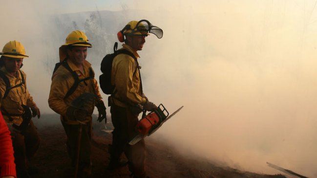 Onemi decretó alerta roja por incendio forestal en reserva nacional de Machalí