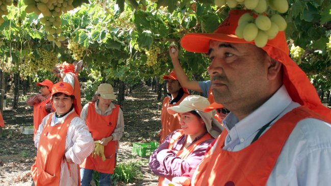 INE: Desempleo fue de 6 por ciento en trimestre noviembre-enero