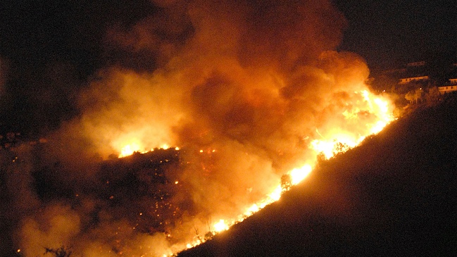Intendencia declaró alerta roja por incendio forestal en Limache